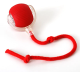 PurrPlay Self-Rolling Cat Toy Ball — Interactive Smart Toy