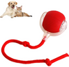 Smart Rolling Pet Ball — Interactive Motion Toy for Dogs & Cats