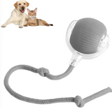 Smart Rolling Pet Ball — Interactive Motion Toy for Dogs & Cats
